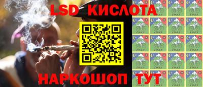 прущие грибы Можайск