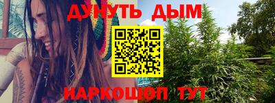 прущие грибы Можайск