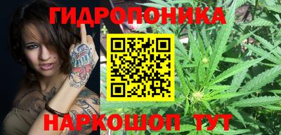 мдпв Можга