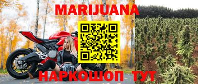 прущие грибы Можайск