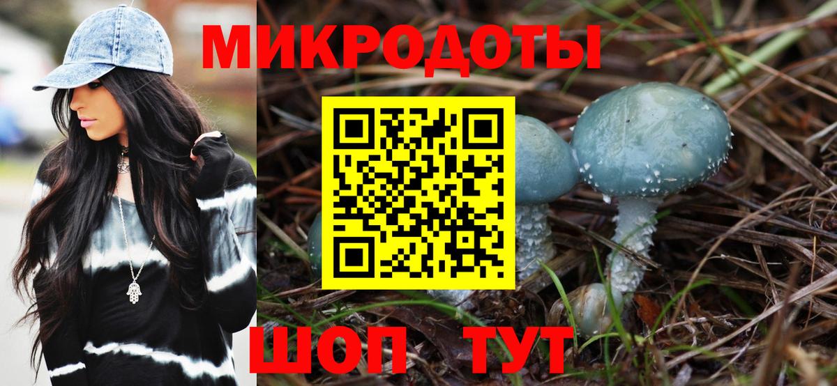 Псилоцибиновые грибы прущие грибы Тихвин